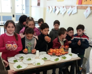 progetto_frutta5